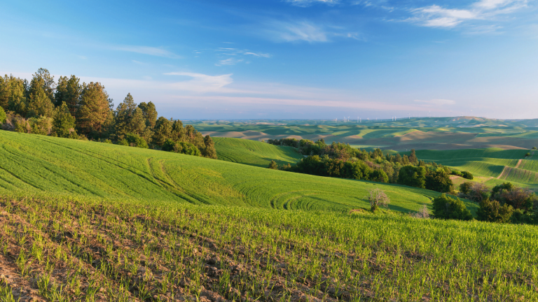 Farms: A Sanctuary for Growth