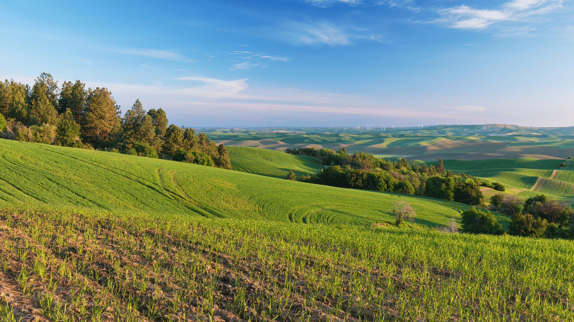 Farms: A Sanctuary for Growth